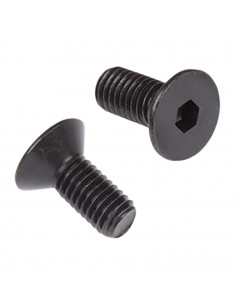 Tornillo cónico dedo antiguo BCS