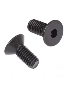 Tornillo cónico dedo antiguo BCS