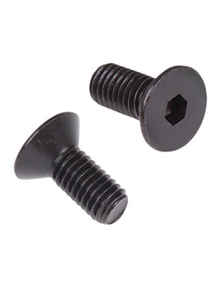 Tornillo cónico dedo antiguo BCS