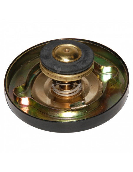 Tapón radiador presión 0,49 bar