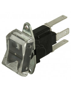 Interruptor basculante