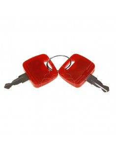 Juego de llaves de encendido powershuttle