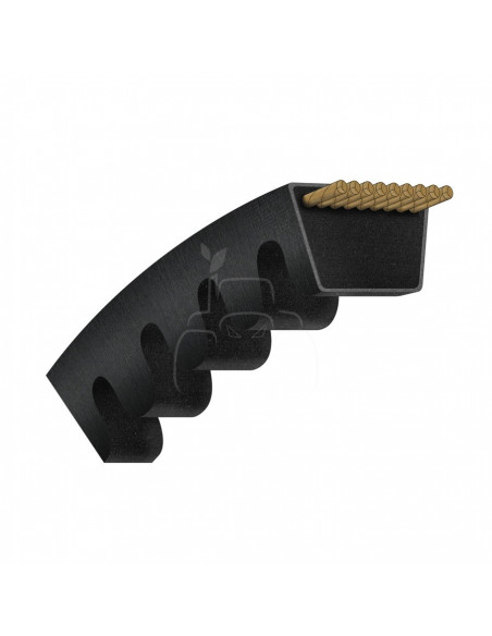 Correa trapezoidal dentada avx13 - 1550 la