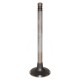 Válvula de escape ø 35.95 x 8.00 mm - l 124.70 mm - 45 °