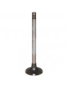 Válvula de escape ø 35.95 x 8.00 mm - l 124.70 mm - 45 °