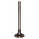 Válvula de escape ø 36.60 x 9.50 mm - l 123.40 mm - 45 °