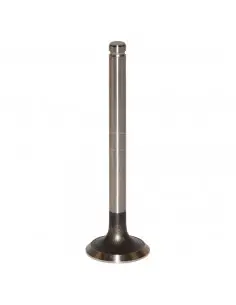 Válvula de escape ø 36.60 x 9.50 mm - l 123.40 mm - 45 °