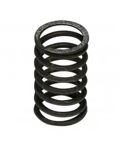 Muelle de válvula escape