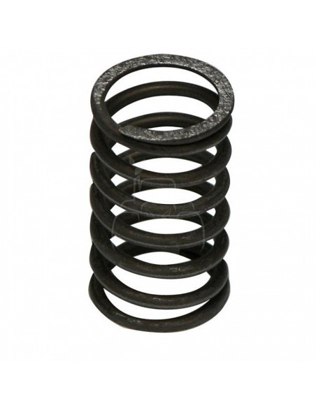 Muelle de válvula escape