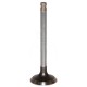 Válvula de escape ø 41.00 x 9.00 mm - l 123.00 mm - 45 °