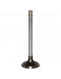 Válvula de escape ø 41.00 x 9.00 mm - l 123.00 mm - 45 °