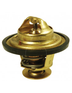 Termostato ø 55.50 mm - alt. 49 mm - 79°c