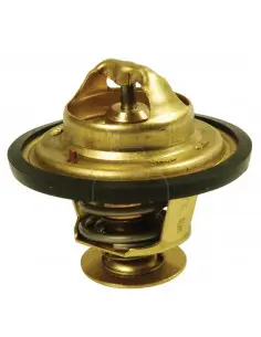 Termostato ø 55.50 mm - alt. 49 mm - 79°c