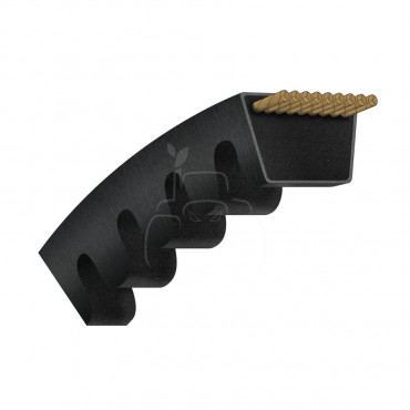Correa trapezoidal dentada avx13 - 1175 la