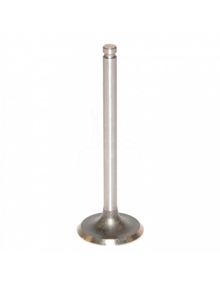 Válvula de admisión ø 39.00 x 7.90 mm - l 114.30 mm - 45 °