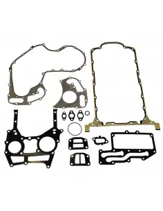 Juego de juntas inferior