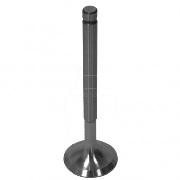 Válvula de escape ø 38.00 x 9.40 mm - l 124.00 mm - 45 °