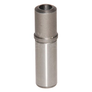 Guía de la válvula