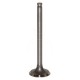 Válvula de escape ø 33.40 x 7.90 mm - l 114.30 mm - 45 °