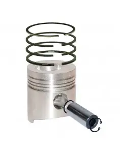 Pistón con aros ø 100 mm - est.