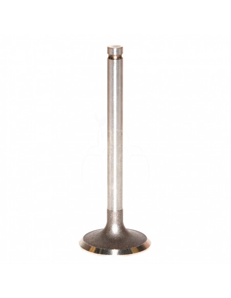 Válvula de admisión ø 44.20 x 9.50 mm - l 123.00 mm - 45 °