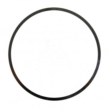 Arandela 0.20 mm