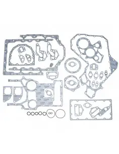 Juego de juntas inferior