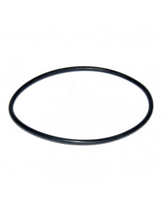 Junta tórica ø 101 .47 x 1.60 mm