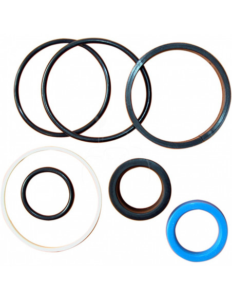 Kit de retenes del cilindro de dirección