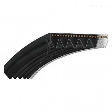 Correa acanalada 8 pk x 1573
