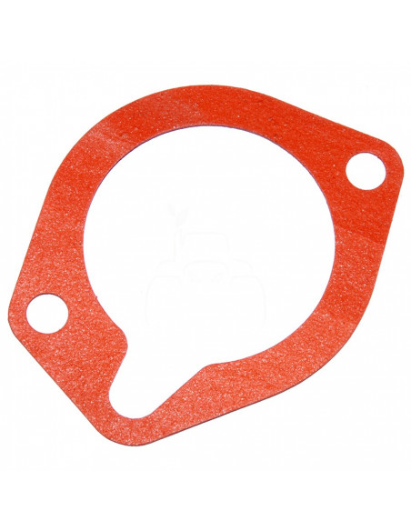 Junta del termostato