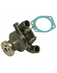 Bomba de agua con polea