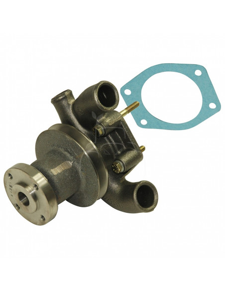 Bomba de agua con polea