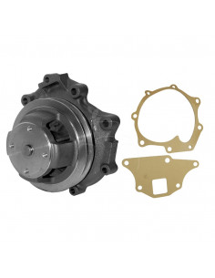 Bomba de agua polea simple