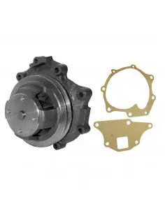 Bomba de agua polea simple