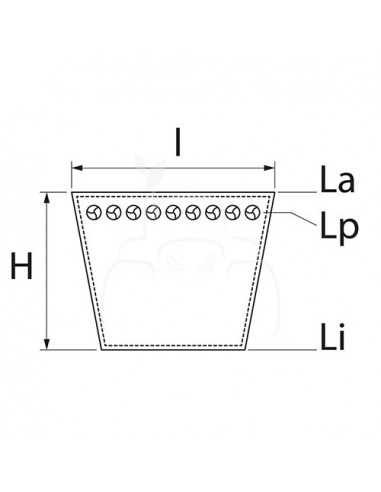 Correa trapezoidal dentada avx13 - 1100 la