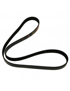 Correa acanalada 8 pk x 1594