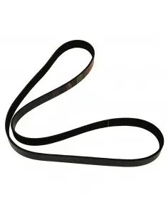 Correa acanalada 8 pk x 1594