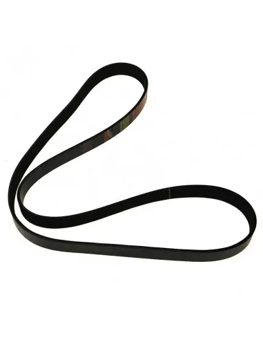 Correa acanalada 8 pk x 1594