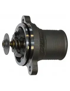 Termostato con carcasa