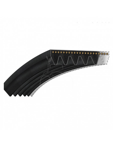 Correa acanalada 6 pk x 1365