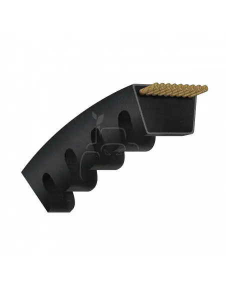 Correa trapezoidal dentada avx13 - 1250 la