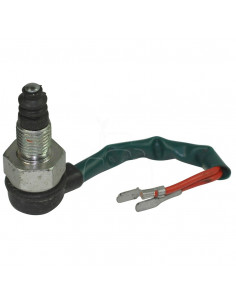 Interruptor de seguridad