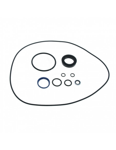 Kit de retenes del cilindro de dirección