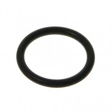 Anillo
