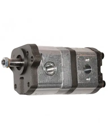 Bomba hidráulica doble