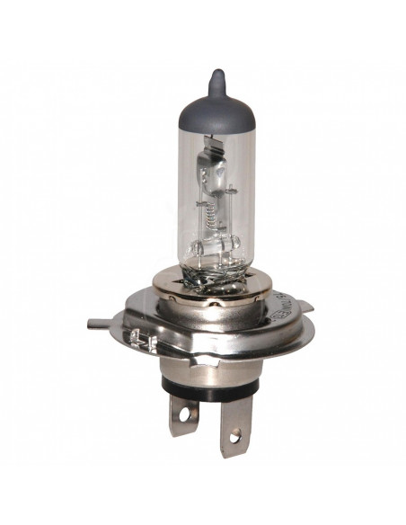 Lampara halogena 12 v - 55 w - px26d - h7