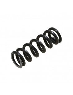 Muelle de válvula ø 12.6 x 36 x 2 mm