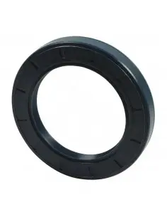 Oil seal 55x80x10