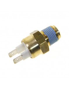 Sensor de temperatura 3/8 bsp﻿